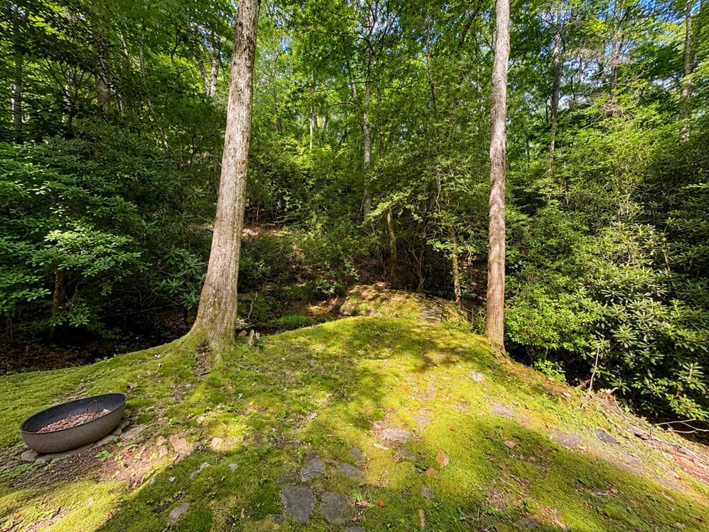 480 Wahu Hu Drive, Hiawassee GA 30546 - Photo