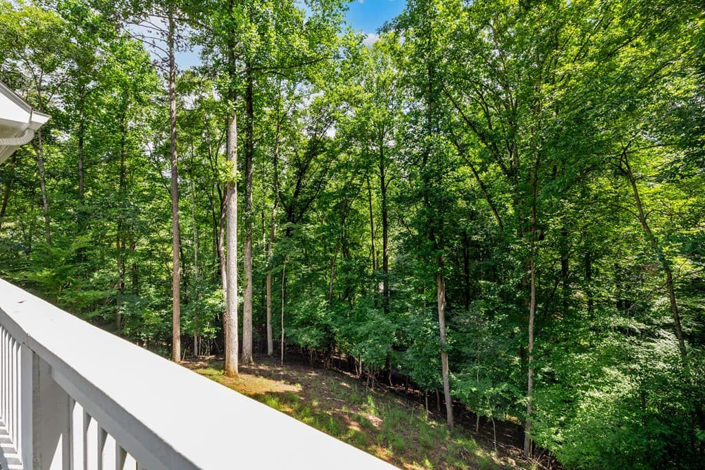 62 Spalding Court, Ellijay GA 30540 - Photo