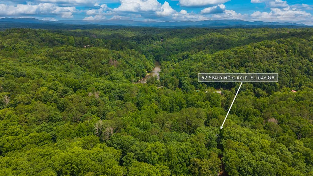62 Spalding Court, Ellijay GA 30540 - Photo
