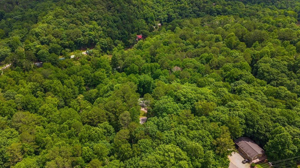 62 Spalding Court, Ellijay GA 30540 - Photo