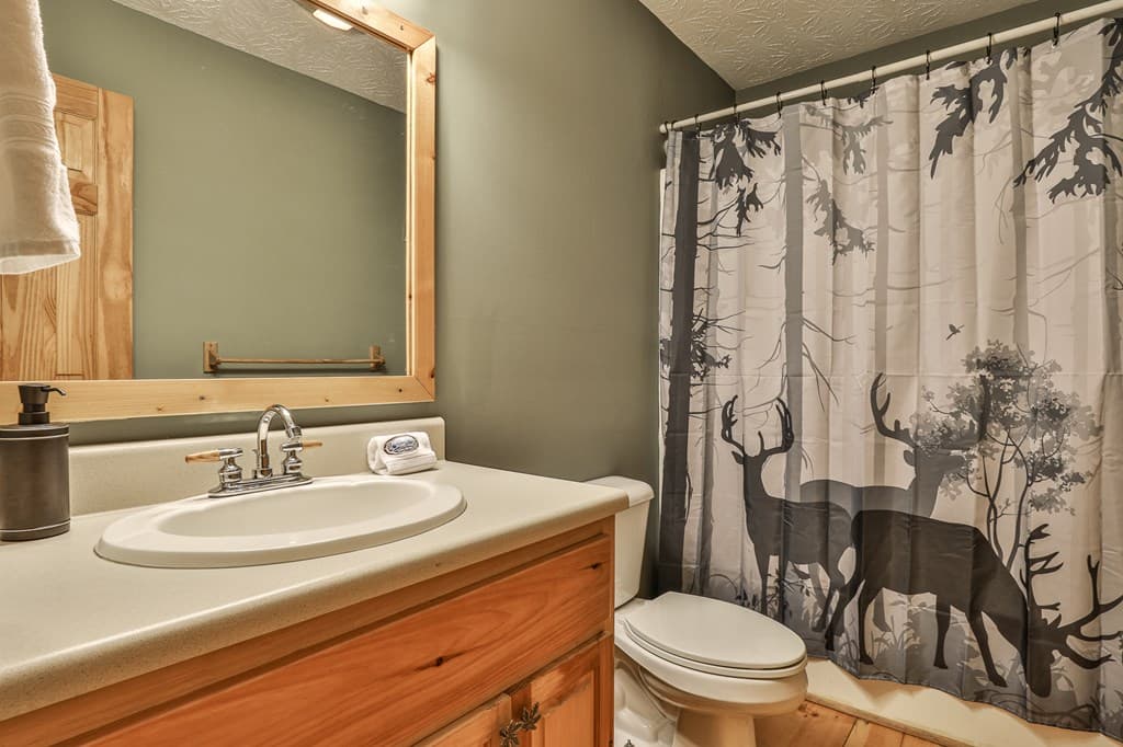 178 Novena Court, Ellijay GA 30540 - Photo