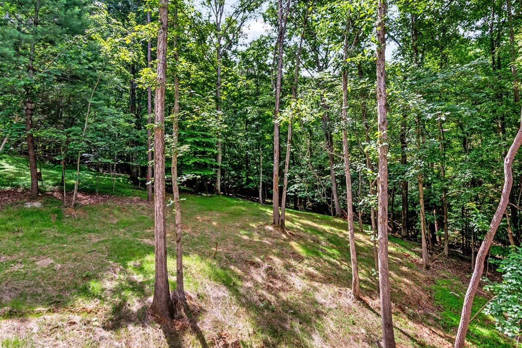 209 Pinecrest Court, Ellijay GA 30540 - Photo