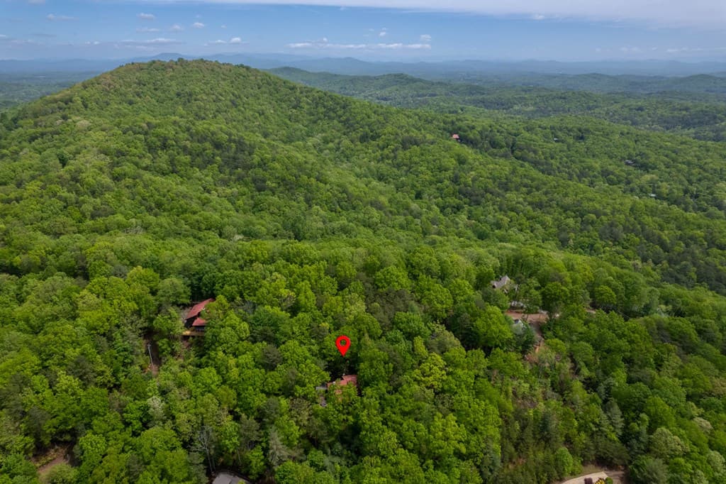 305 Martin Crossing, Cherry Log GA 30522 - Photo