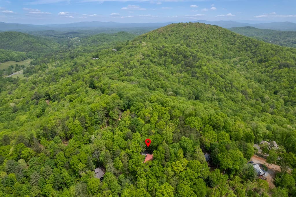305 Martin Crossing, Cherry Log GA 30522 - Photo