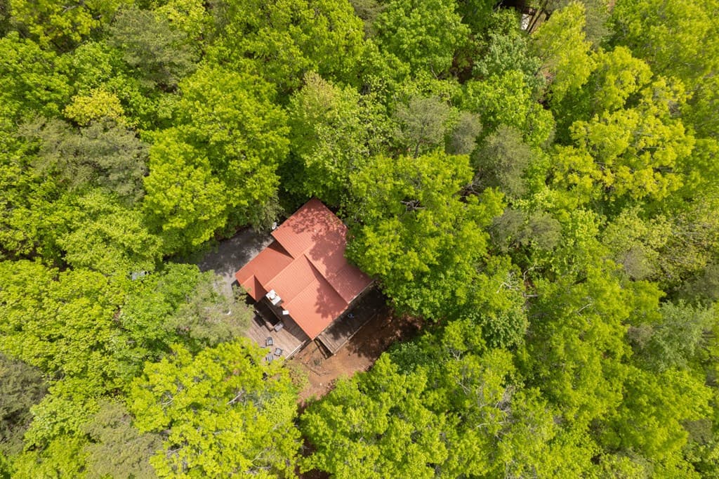 305 Martin Crossing, Cherry Log GA 30522 - Photo