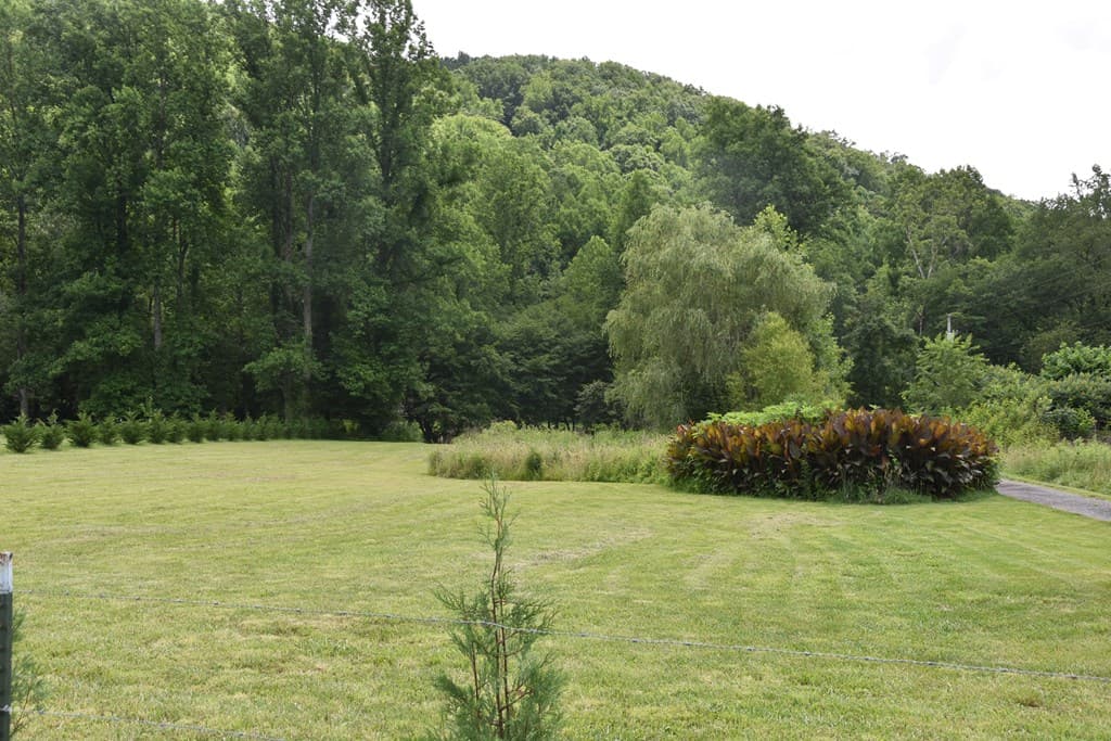 126 Bolo Lane, Hayesville NC 28904 - Photo