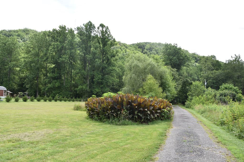 126 Bolo Lane, Hayesville NC 28904 - Photo