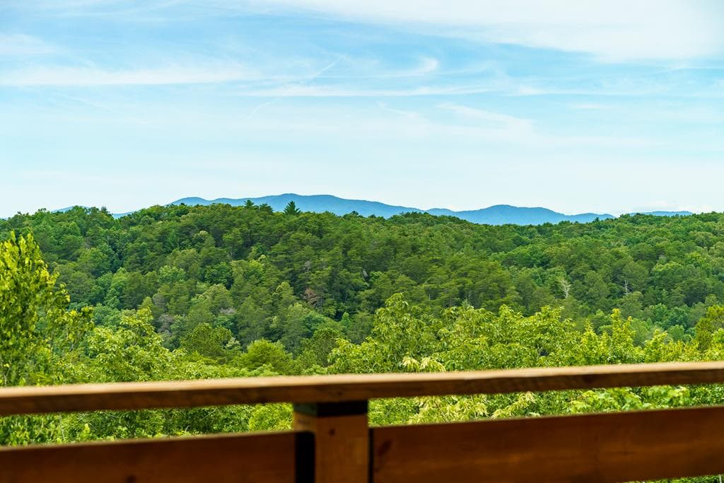 63 Granny Smith Lane, Ellijay GA 30536 - Photo