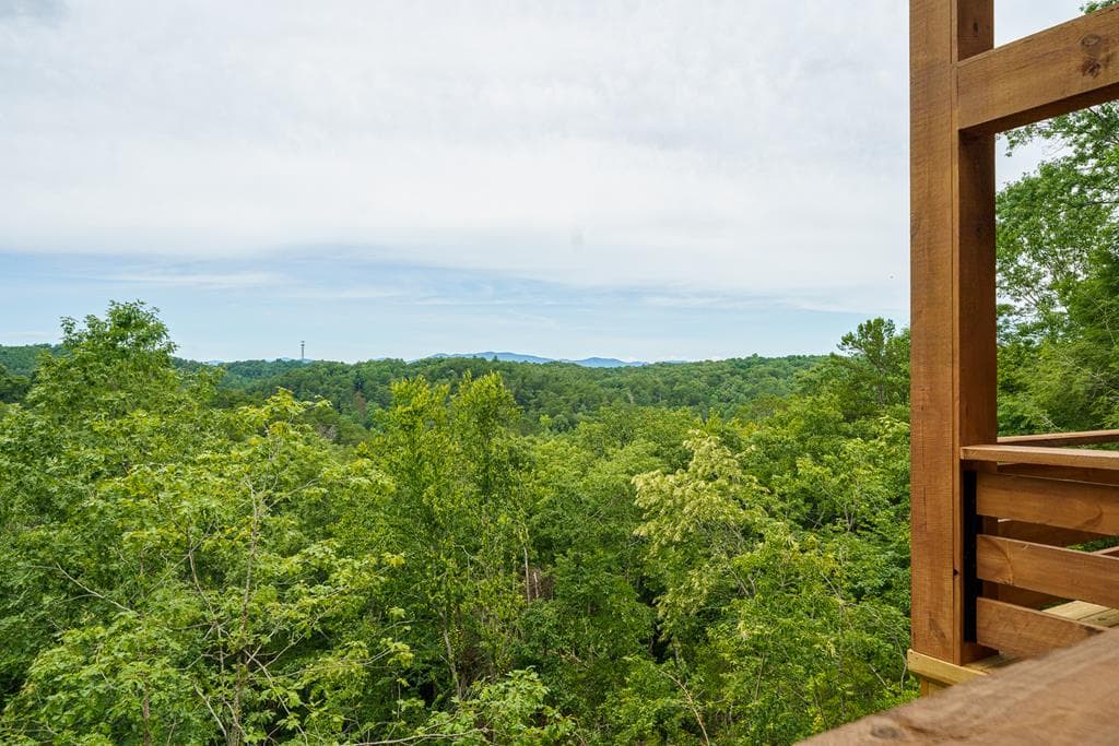 63 Granny Smith Lane, Ellijay GA 30536 - Photo