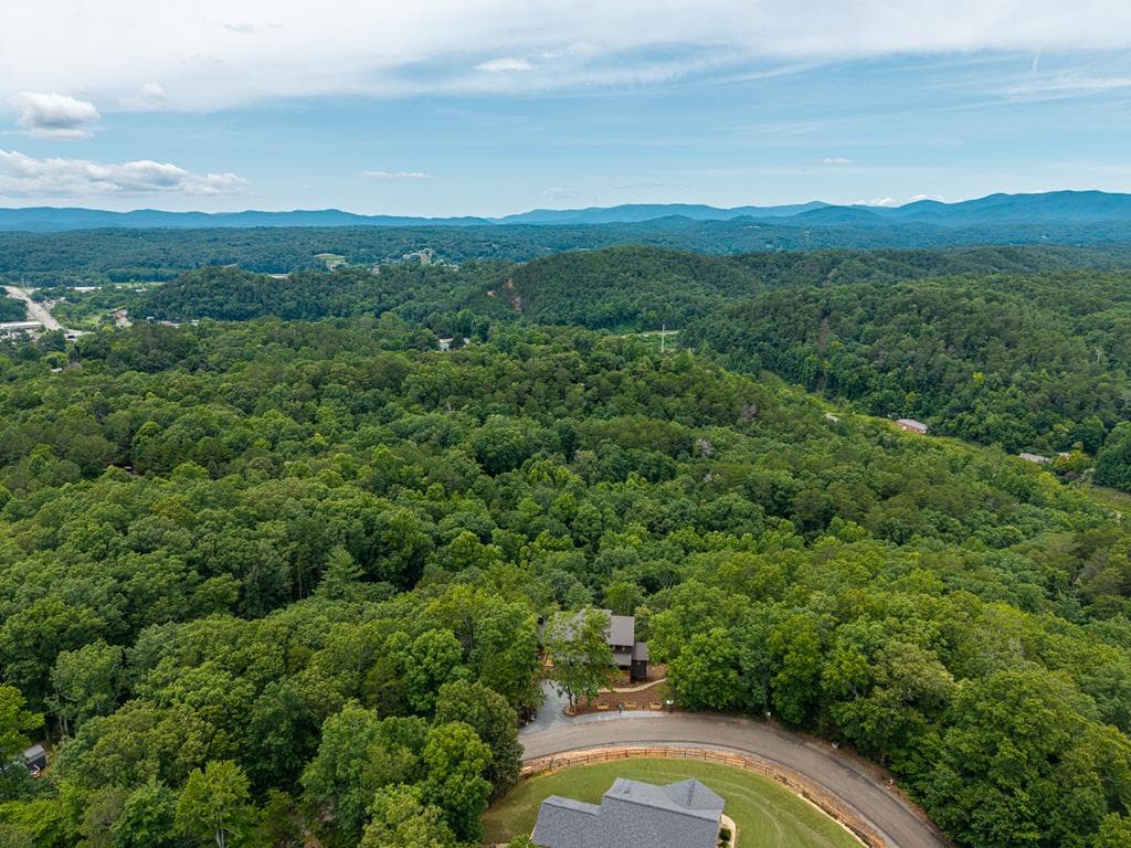 63 Granny Smith Lane, Ellijay GA 30536 - Photo