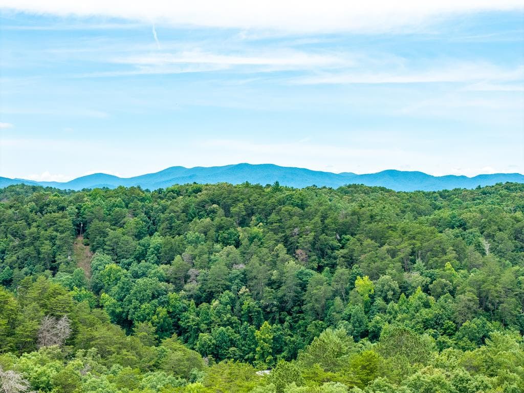 63 Granny Smith Lane, Ellijay GA 30536 - Photo