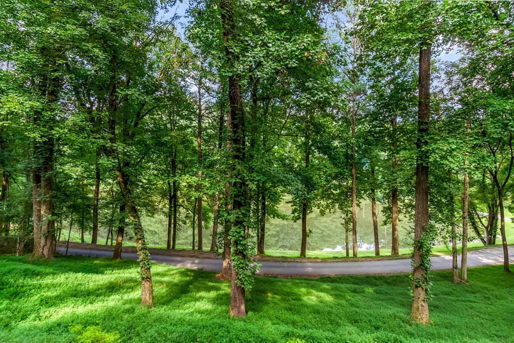 165 Timberwalk Drive, Ellijay GA 30540 - Photo