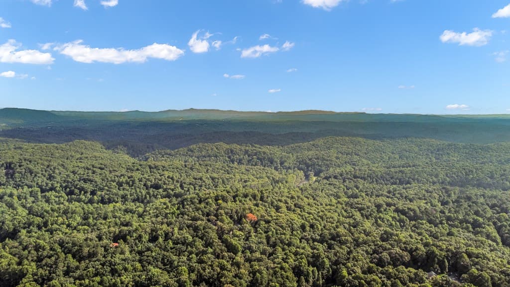 165 Timberwalk Drive, Ellijay GA 30540 - Photo