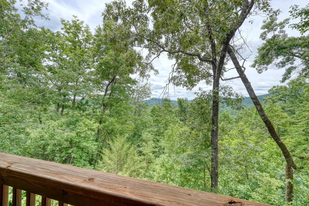 48 Pine Top Drive, Clayton GA 30525 - Photo