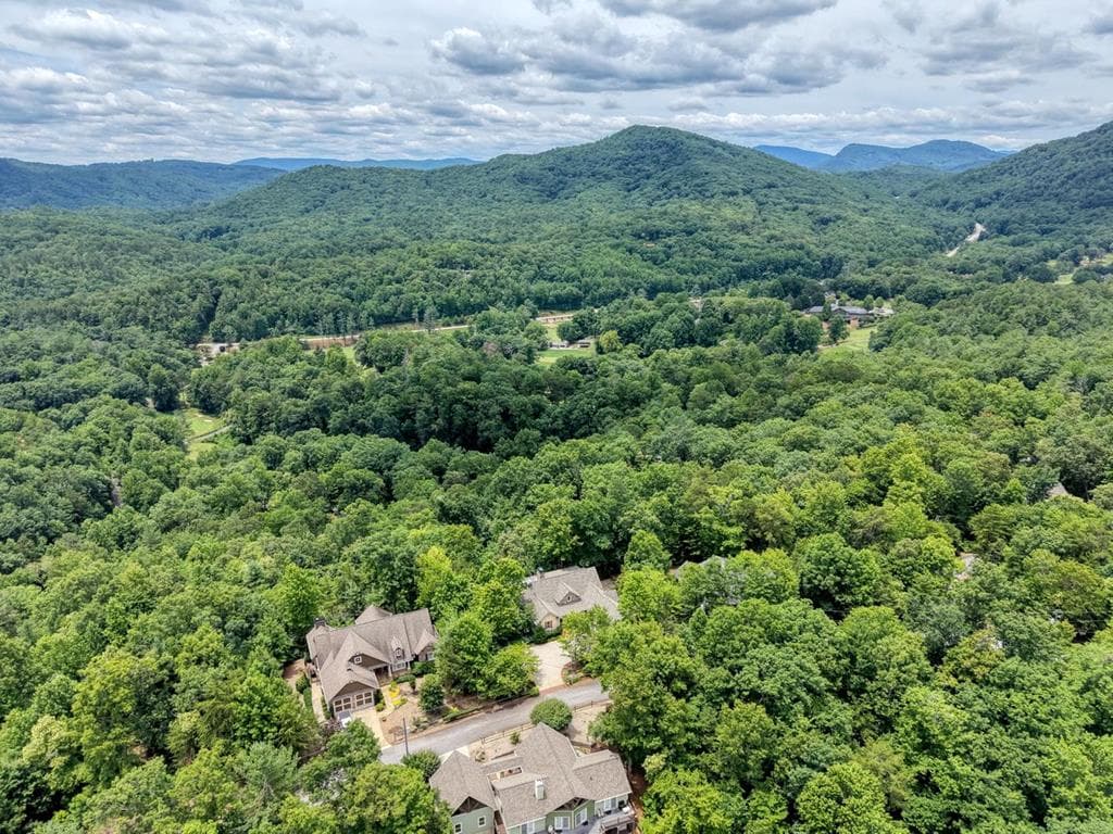 48 Pine Top Drive, Clayton GA 30525 - Photo