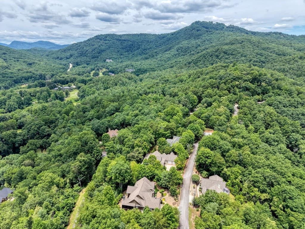 48 Pine Top Drive, Clayton GA 30525 - Photo