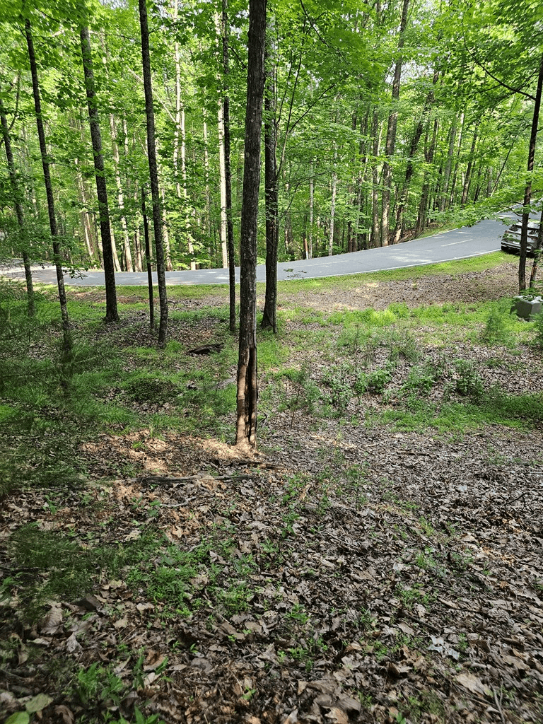 1111 Quail Cove Drive, Jasper GA 30143 - Photo