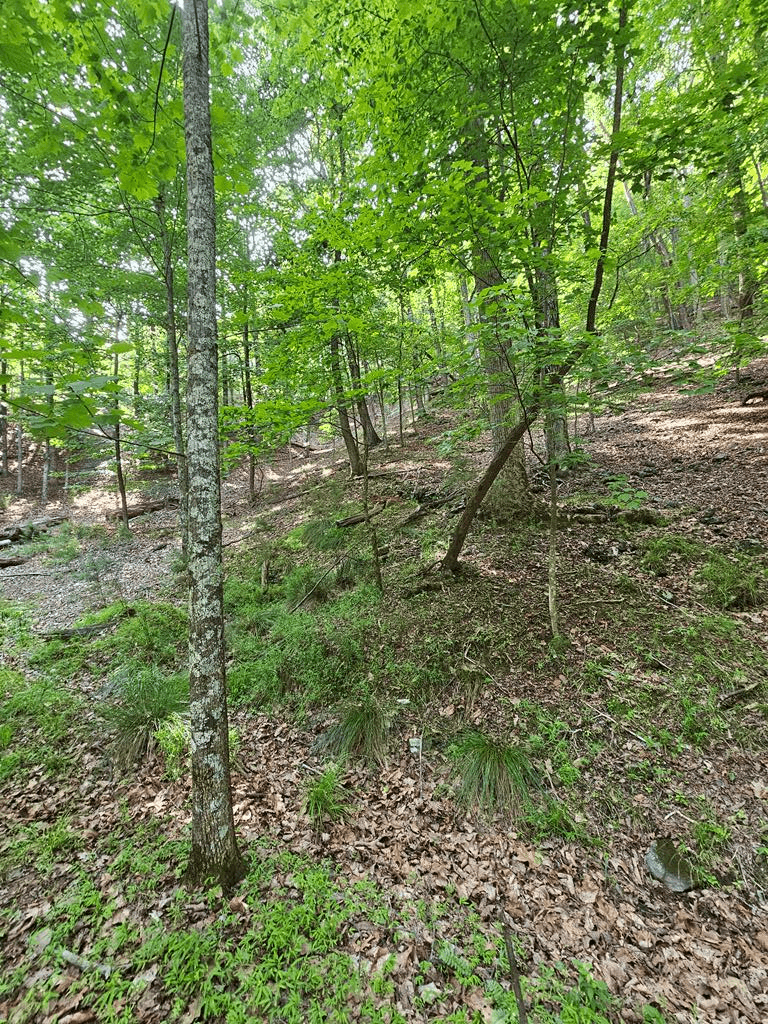 1111 Quail Cove Drive, Jasper GA 30143 - Primary photo
