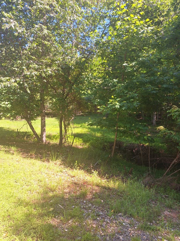 0 Judah Road, Morganton GA 30560 - Photo