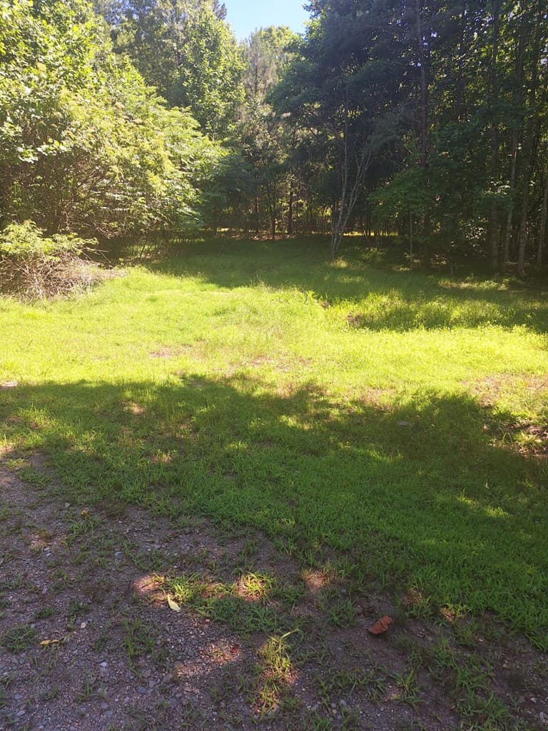 0 Judah Road, Morganton GA 30560 - Photo