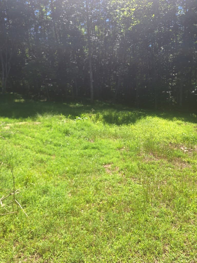 0 Judah Road, Morganton GA 30560 - Photo