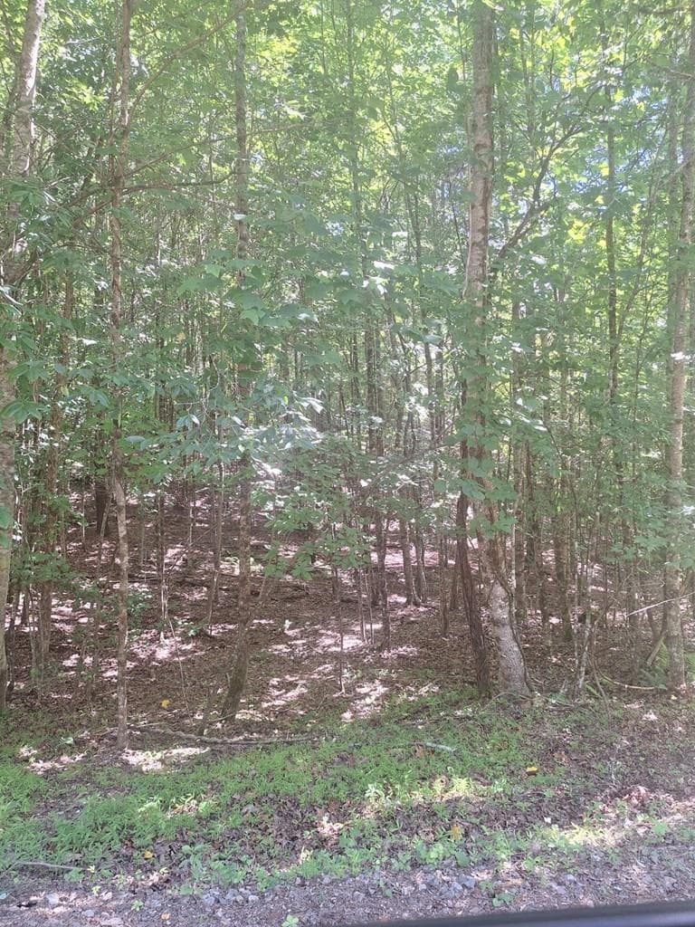 0 Judah Road, Morganton GA 30560 - Primary photo