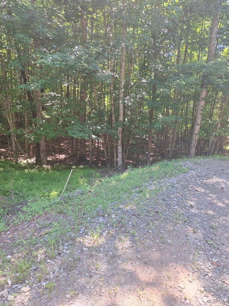 0 Judah Road, Morganton GA 30560 - Photo