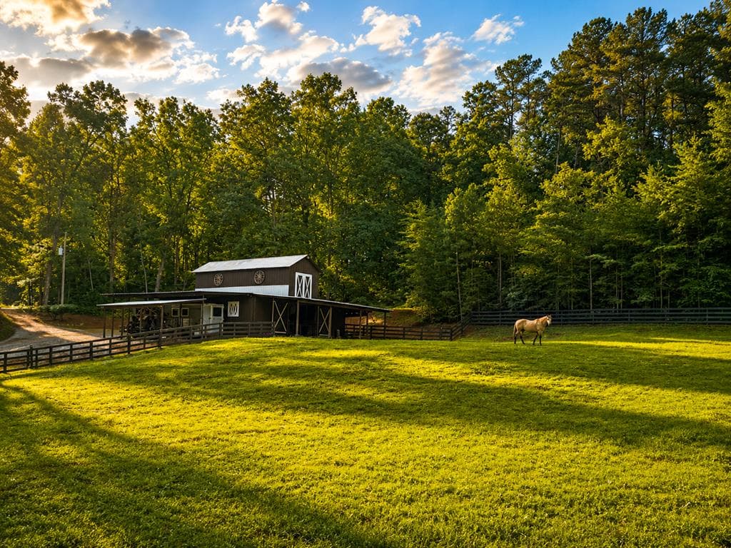 2411 Highway 9 South, Dawsonville GA 30534 - Photo