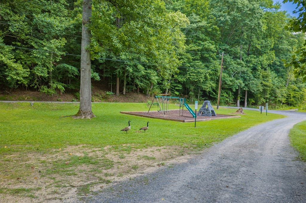 109 Edgewater Drive, Ellijay GA 30540 - Photo