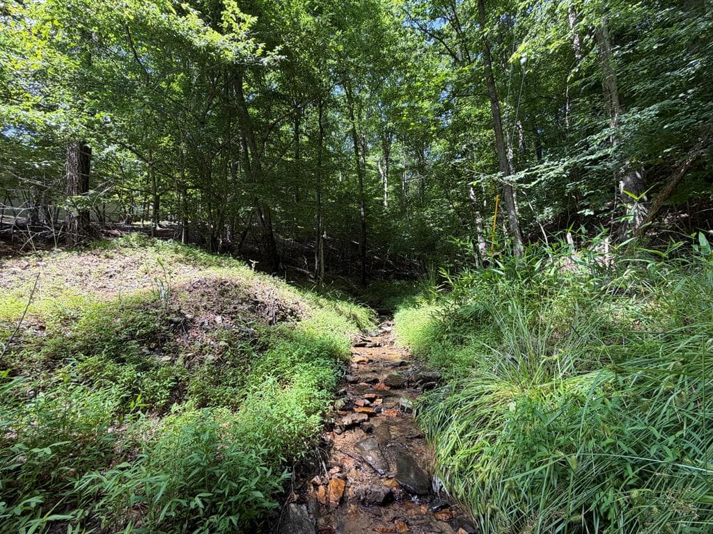 109 Edgewater Drive, Ellijay GA 30540 - Photo