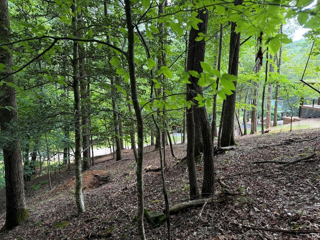 109 Edgewater Drive, Ellijay GA 30540 - Photo