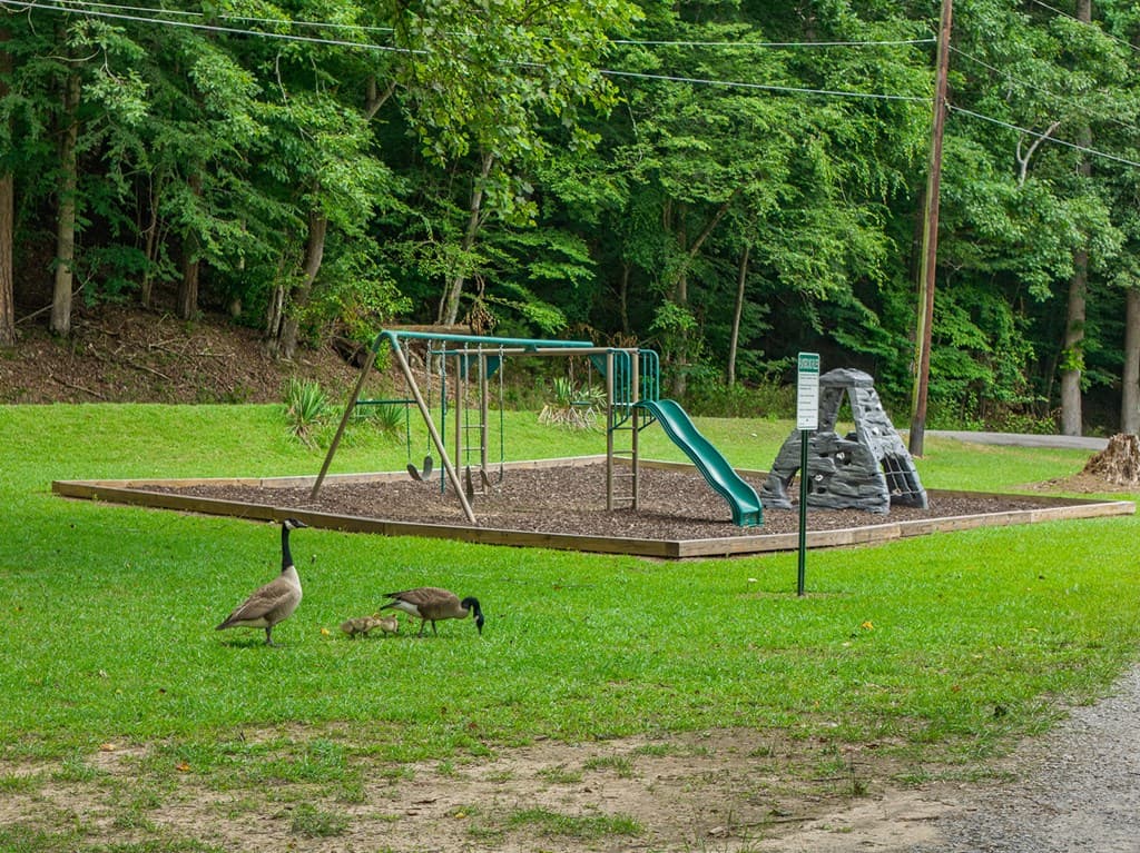 109 Edgewater Drive, Ellijay GA 30540 - Photo