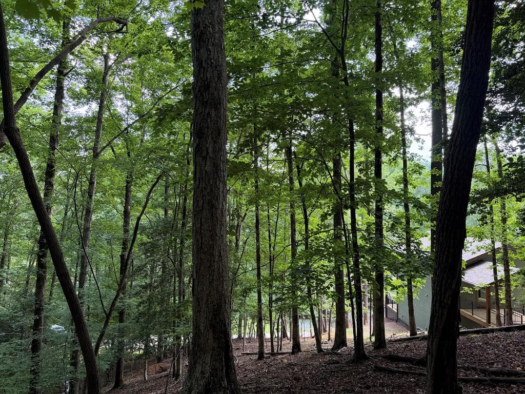 109 Edgewater Drive, Ellijay GA 30540 - Photo