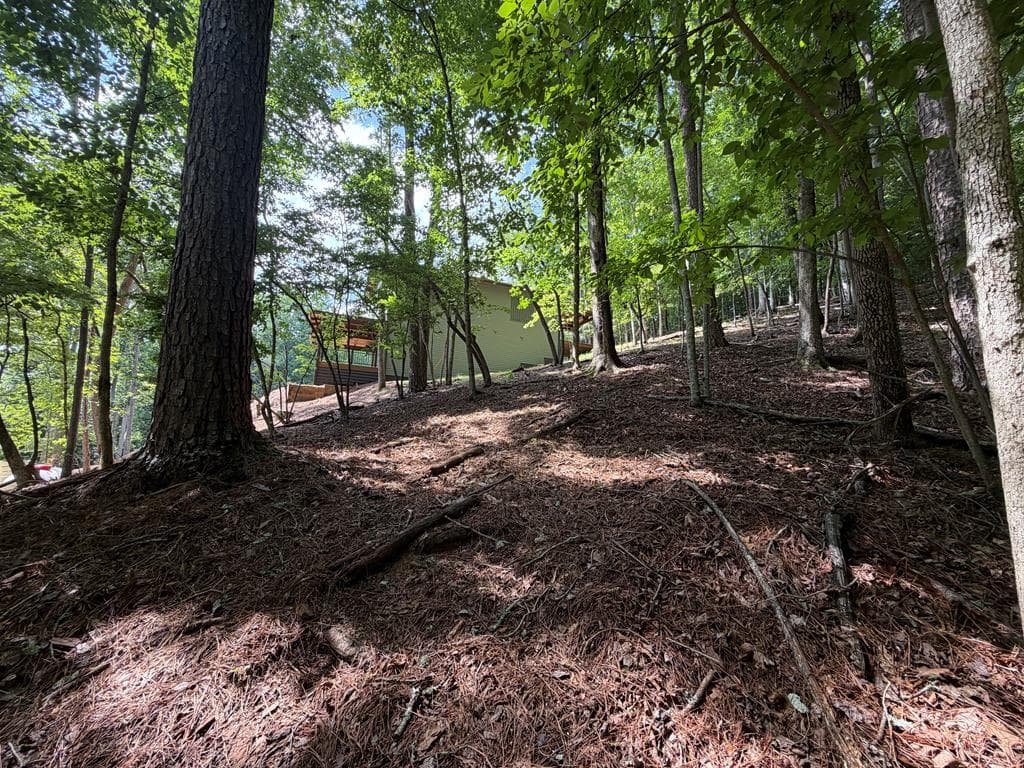 109 Edgewater Drive, Ellijay GA 30540 - Photo
