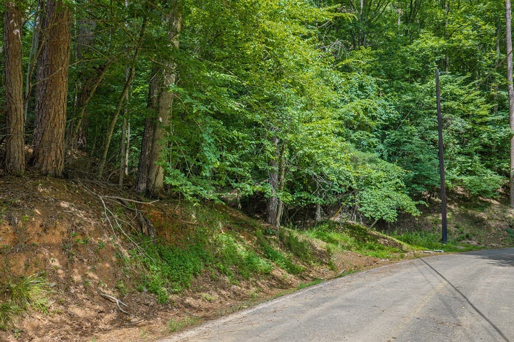 109 Edgewater Drive, Ellijay GA 30540 - Photo