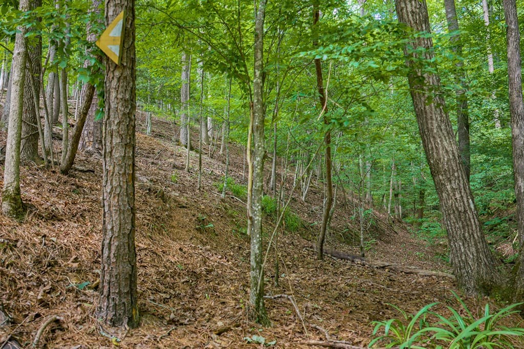 109 Edgewater Drive, Ellijay GA 30540 - Photo