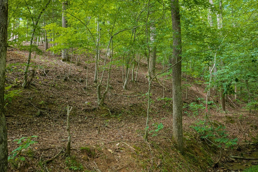 109 Edgewater Drive, Ellijay GA 30540 - Photo