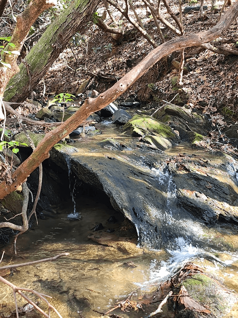 5 acres Liberty Hill Road, Morganton GA 30560 - Photo