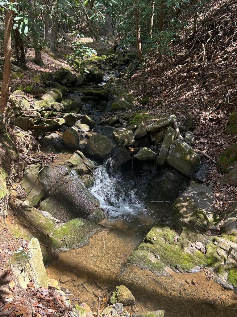 5 acres Liberty Hill Road, Morganton GA 30560 - Photo