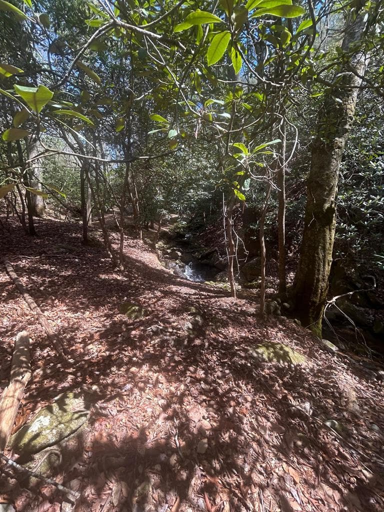 5 acres Liberty Hill Road, Morganton GA 30560 - Photo