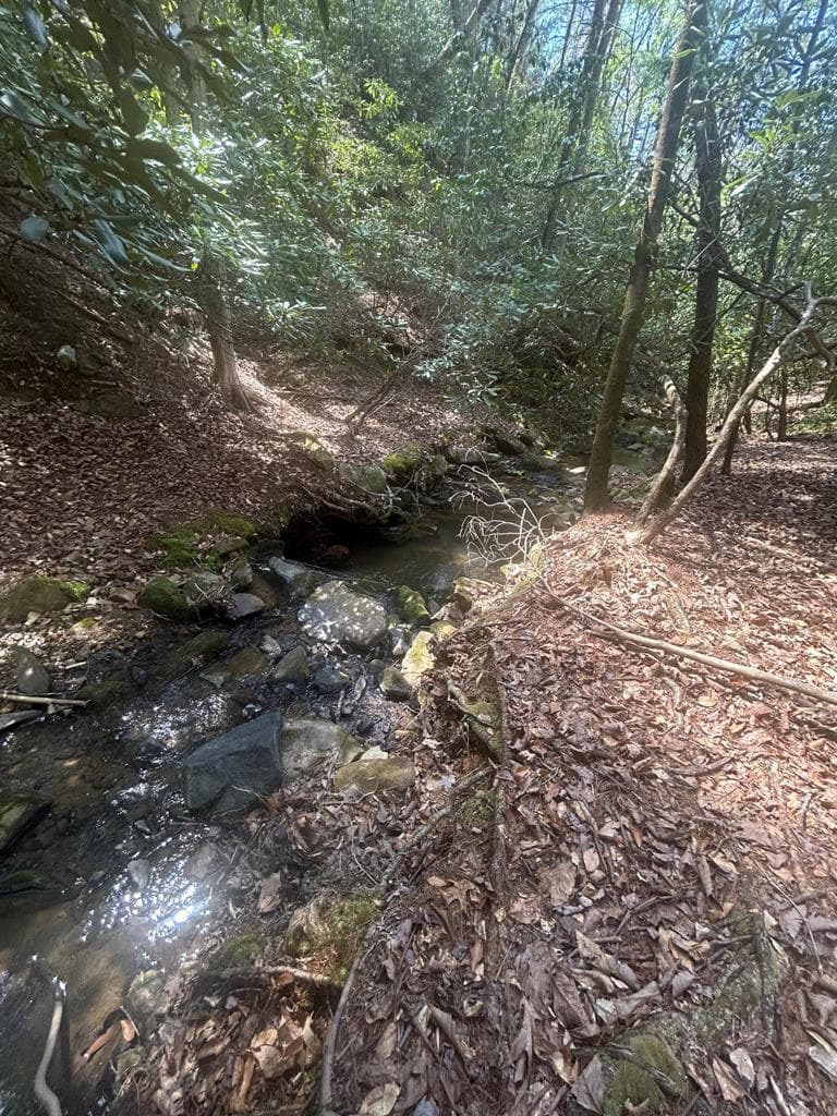 5 acres Liberty Hill Road, Morganton GA 30560 - Photo