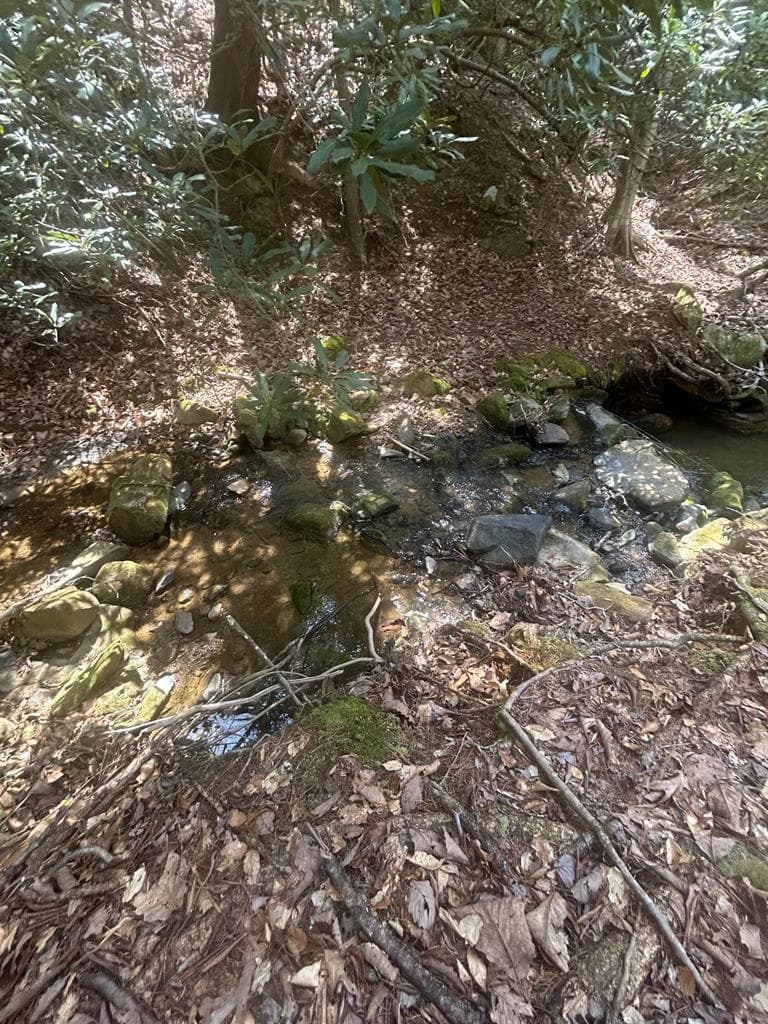 5 acres Liberty Hill Road, Morganton GA 30560 - Photo