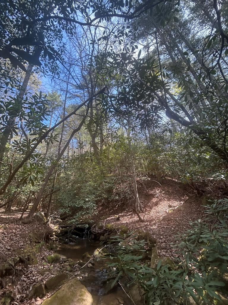 5 acres Liberty Hill Road, Morganton GA 30560 - Photo