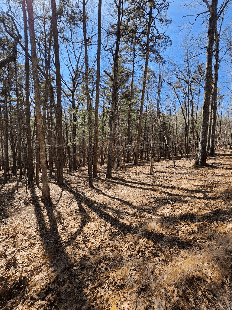 5 acres Liberty Hill Road, Morganton GA 30560 - Photo