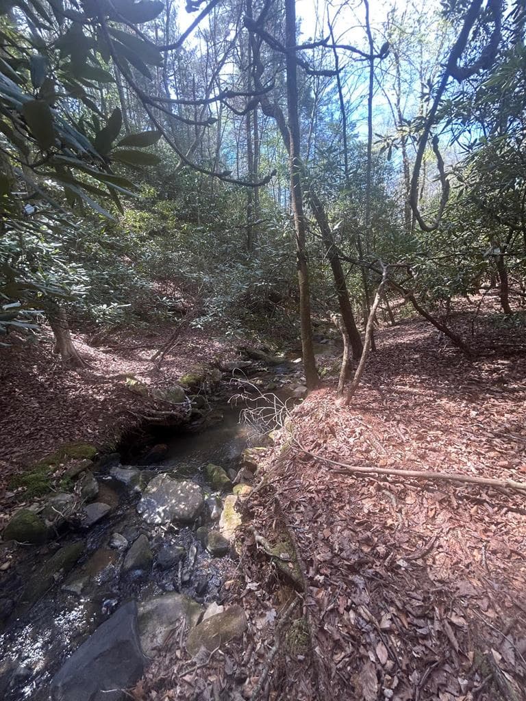5 acres Liberty Hill Road, Morganton GA 30560 - Photo