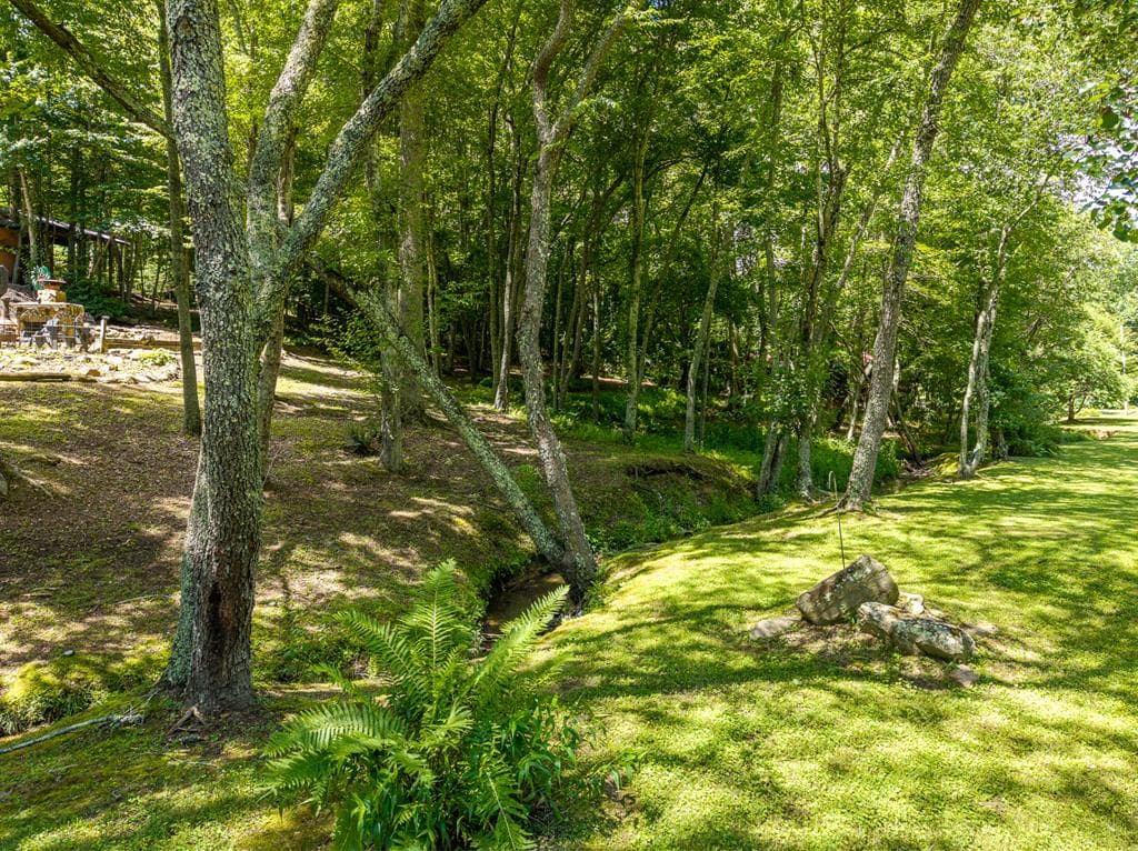 28 Wood Lane, Blue Ridge GA 30513 - Photo