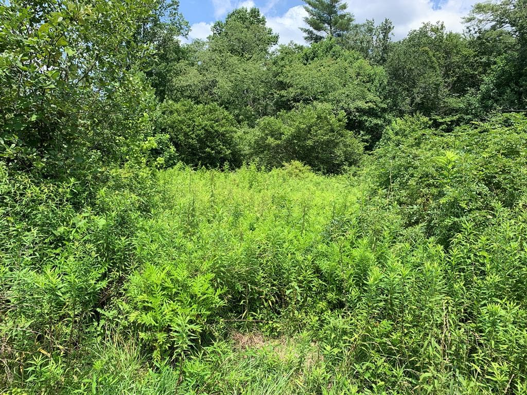 TBD Greasy Creek Road, Murphy NC 28906 - Primary photo