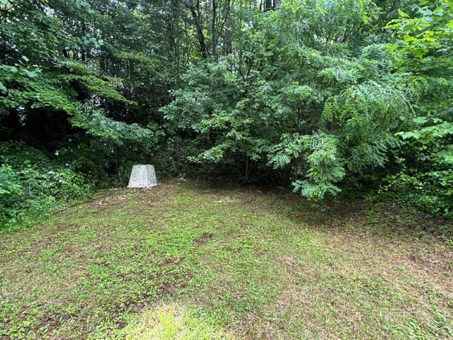 1203 Hwy 60, Suches GA 30572 - Photo