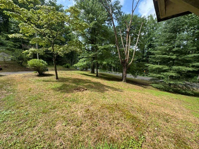 1203 Hwy 60, Suches GA 30572 - Photo