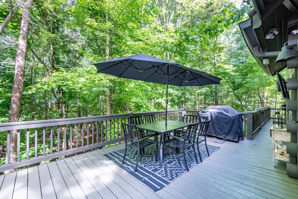 30 Maxwell Lane, Blue Ridge GA 30513 - Photo